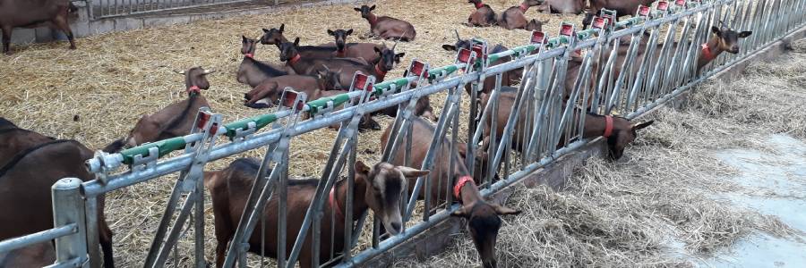 Accueil - Visualiser le coût total du projet et son plan de financement